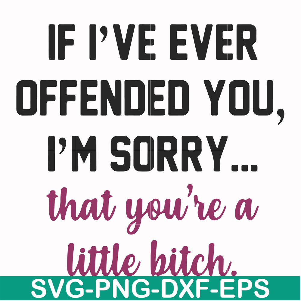 FN000506-If I've ever offended you I'm sorry that you're a little bitch svg, png, dxf, eps file FN000506.jpg