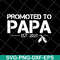 FTD28042118-Promoted to papa 2021 svg, Fathers day svg, png, dxf, eps digital file FTD28042118.jpg
