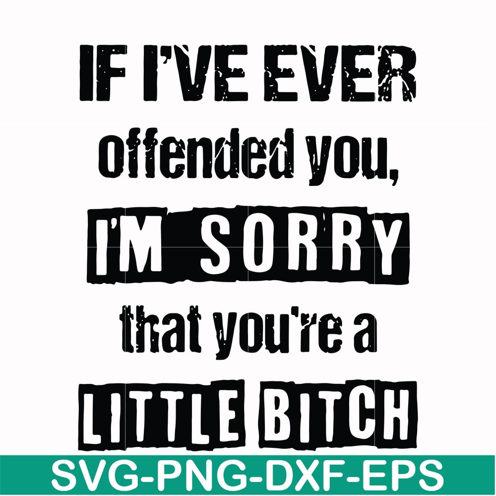 FN000663-If I've ever offended you Im sorry that you're a little bitch svg, png, dxf, eps file FN000663.jpg