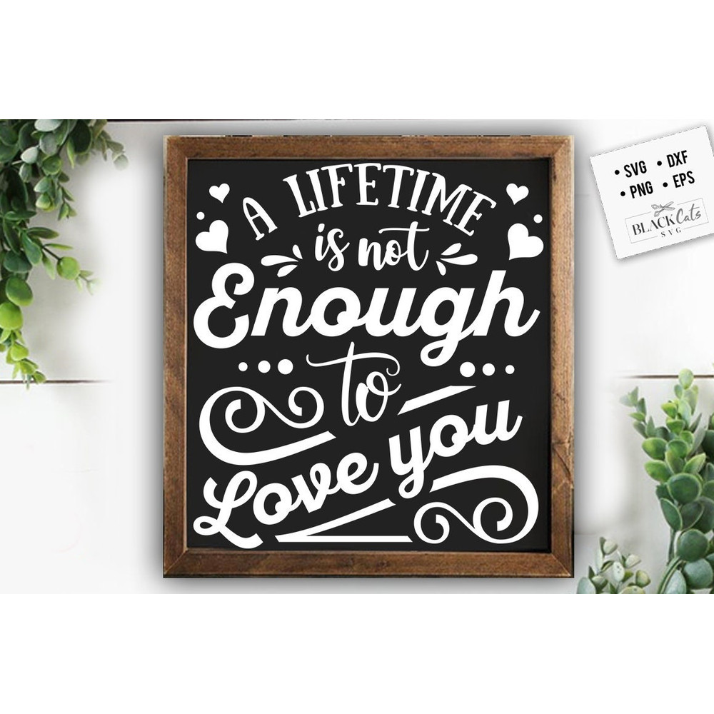 A lifetimes is not enough SVG, Valentine's Day SVG, Valentine Shirt Svg, Love Svg.jpg