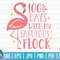 100 days with my fabulous flock SVG  100 days of school SVG  100 days SVG  Cut File  clipart  printable  vector  commercial use.jpg