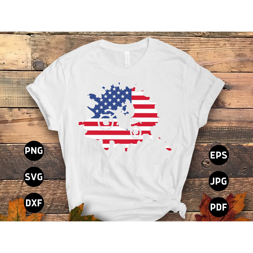 4th of July Svg Png, USA flag bick Svg, Fourth of July Svg Cricut Cut File Cricut Sublimation Design.jpg