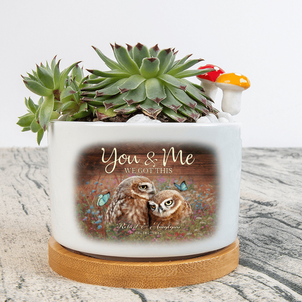 tải xuống (3).png