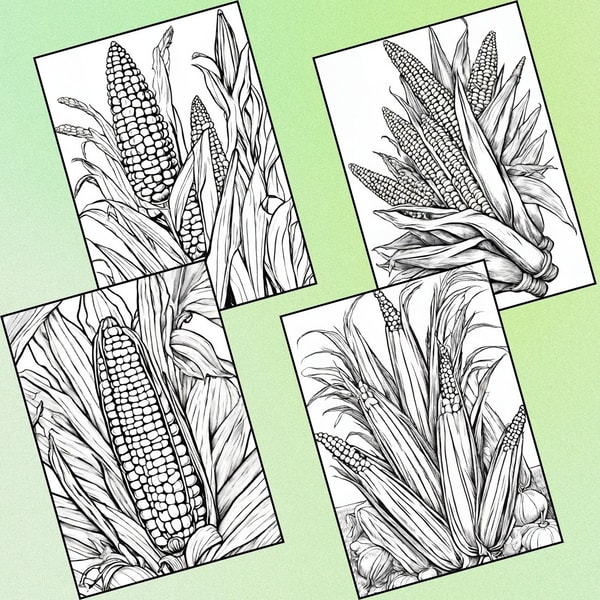 Learn & Color! 12 Educational Corn Coloring Pages for Elemen | Inspire ...