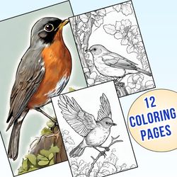 Let Colors Soar! American Robin Coloring Pages for Homeschool & Classroom Use