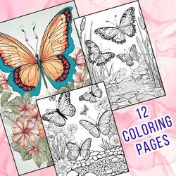 Detailed Butterfly Coloring Pages for Stress Relief and Relaxation