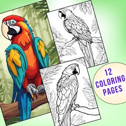 12 Adorable Macaw Parrot Coloring Pages to Bring Joy and Color to Your Day