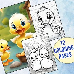 12 Cute Duckling Coloring Pages for Kids | Fun Activity Sheets for Teaching Kids