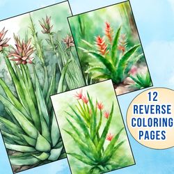 Immerse Yourself in Nature! Captivating Aloe Vera Plant Reverse Coloring Pages