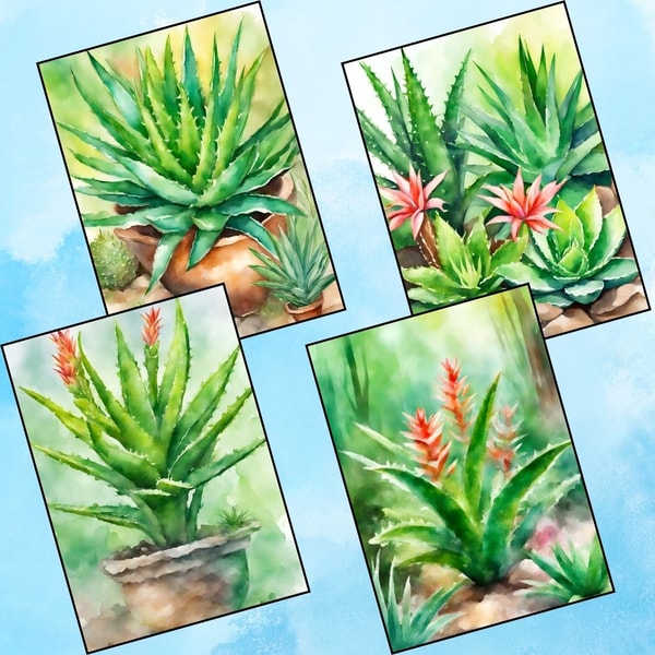 Aloe Vera Plant Reverse Coloring Pages 2.jpg