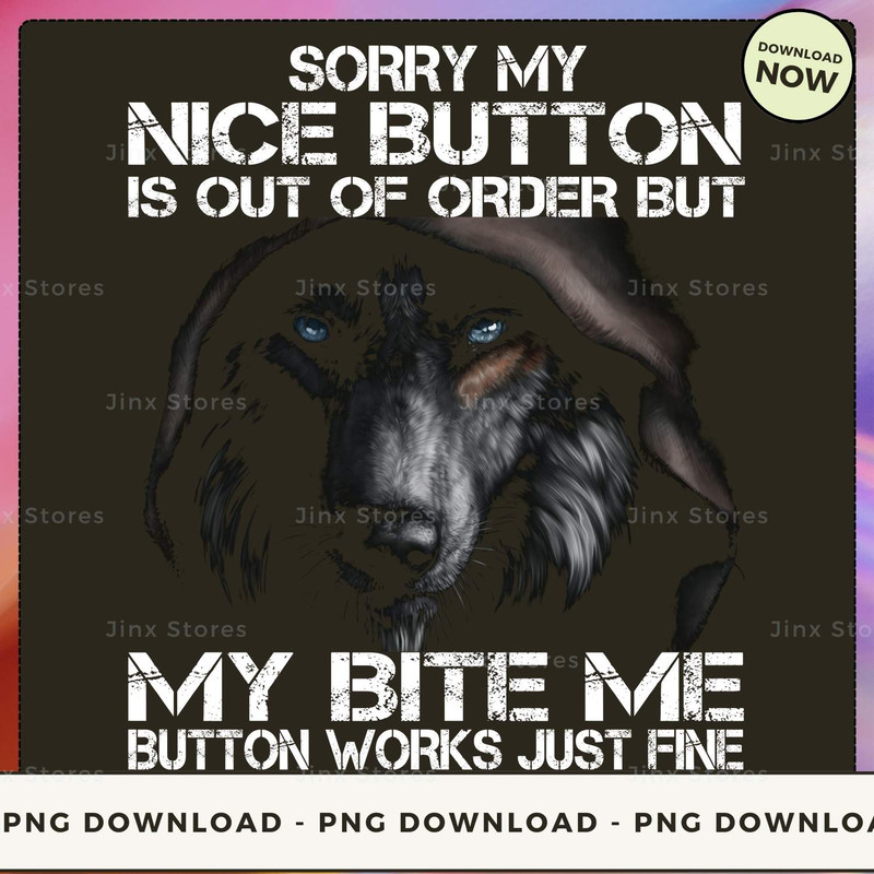 SORRY MY NICE BUTTON_1_1.jpg