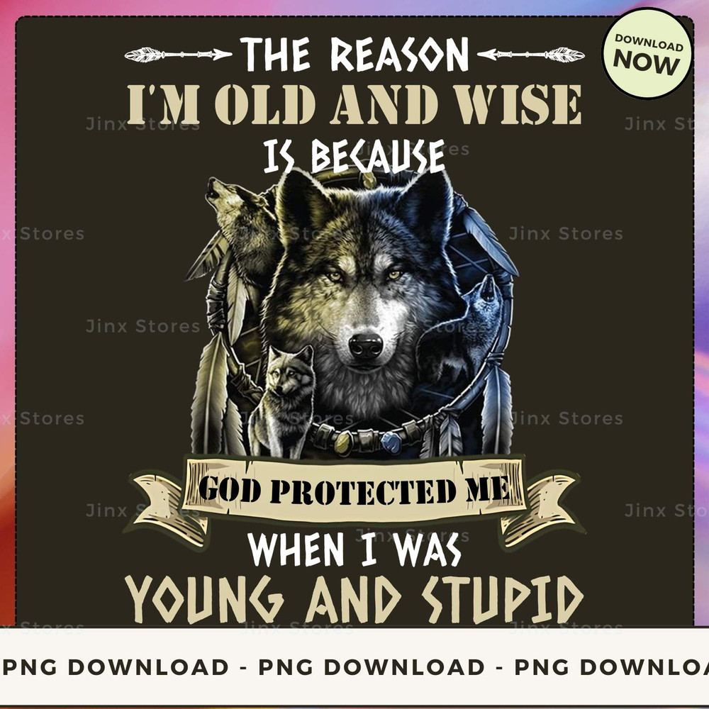 THE REASON I'M OLD AND WISE IS BECAUSE COD PROTECTED ME WHEN I WAS YOUNG AND STUPID_1_2_1.jpg