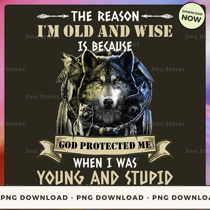 THE REASON I'M OLD AND WISE IS BECAUSE COD PROTECTED ME WHEN I WAS YOUNG AND STUPID_1_2_1.jpg