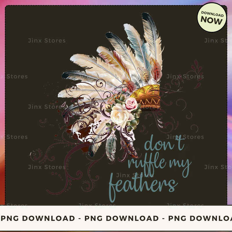 NATIVE AMERICAN FEATHERS_1_1.jpg