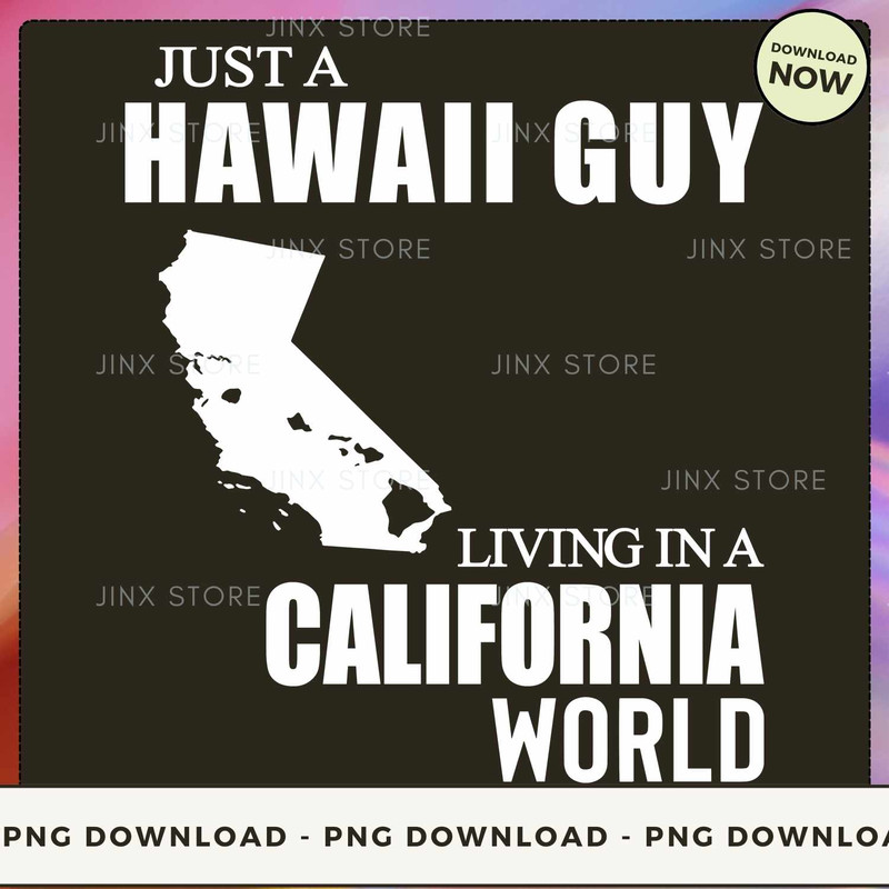 Hawaii Guy In California_1.jpg