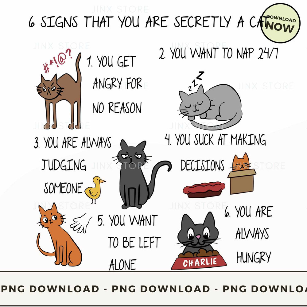 6 Signs That You Are Secretly a Cat.jpg