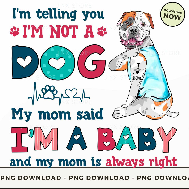 American bulldog.jpg