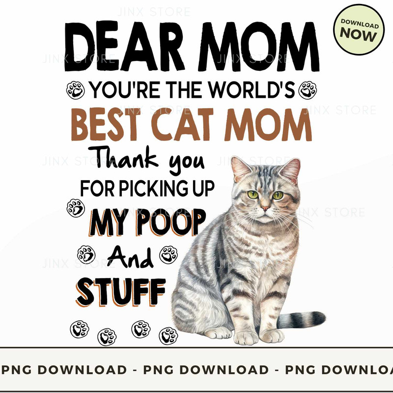 American Shorthair_1.jpg