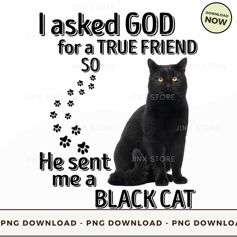 BLACK CAT.jpg