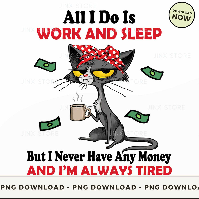 Cat All I do is work and sleep but I never have any money.jpg