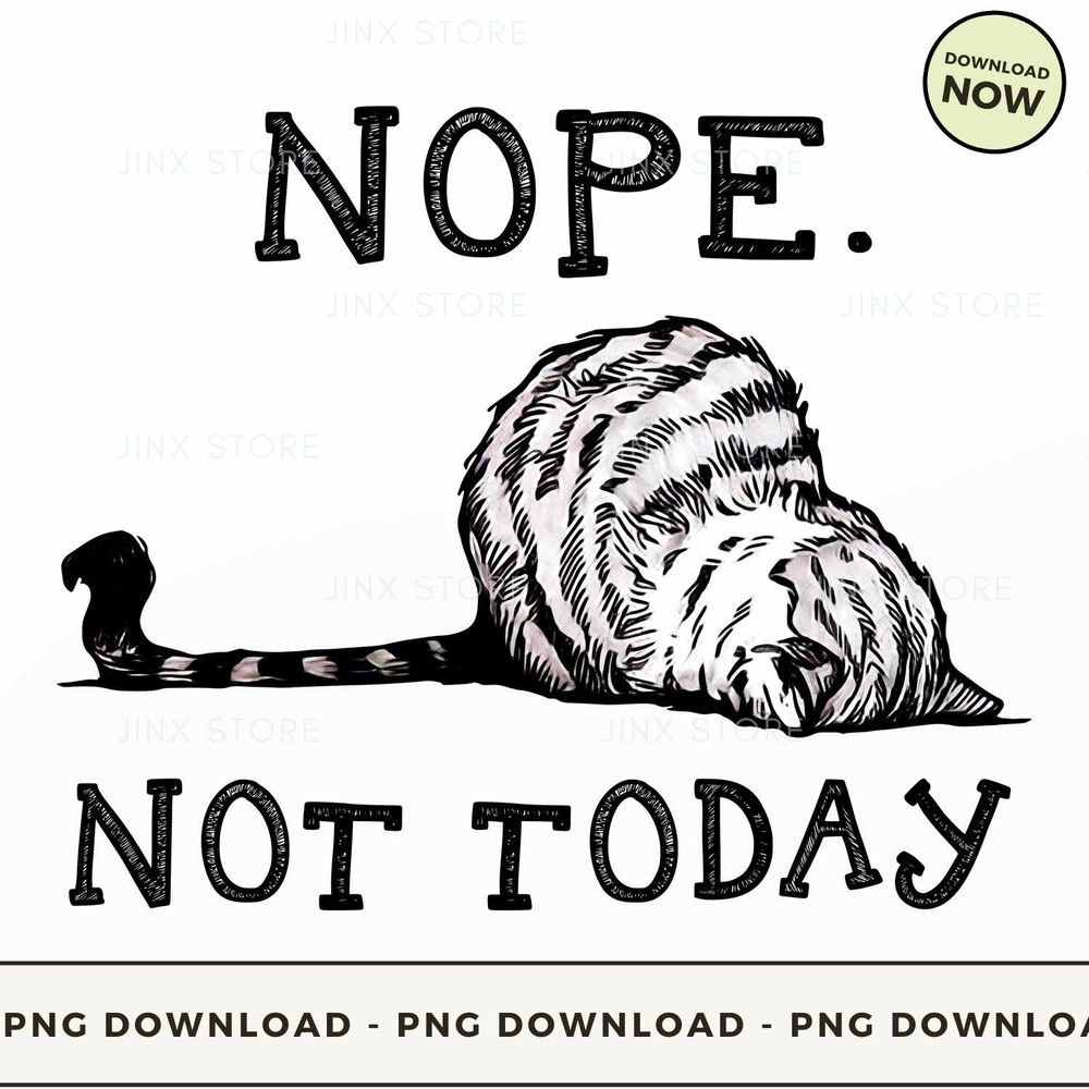 Cat Nope. Not Today.jpg