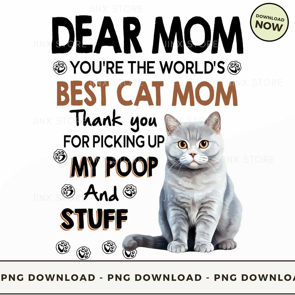 British Shorthair_1.jpg