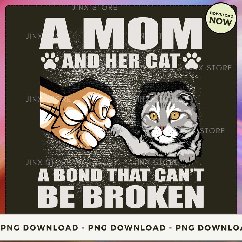 scotish fold_1_1.jpg