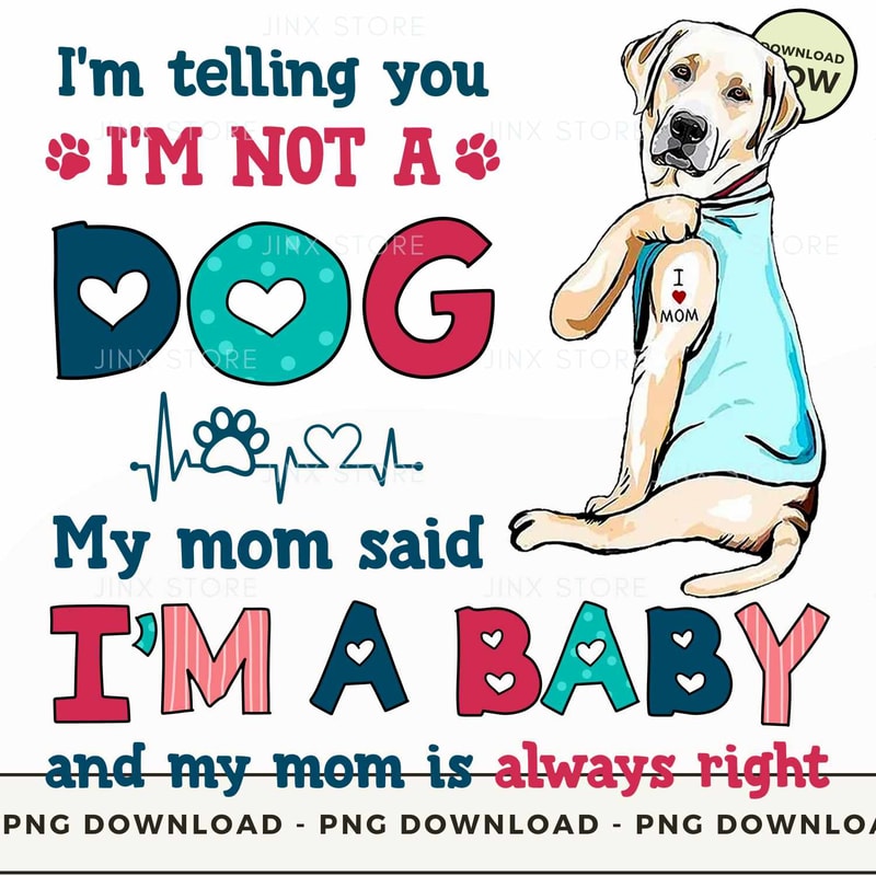 Labrador Retriever.jpg