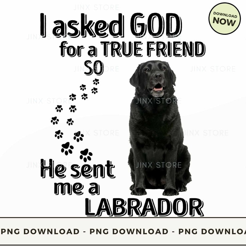 LABRADOR.jpg