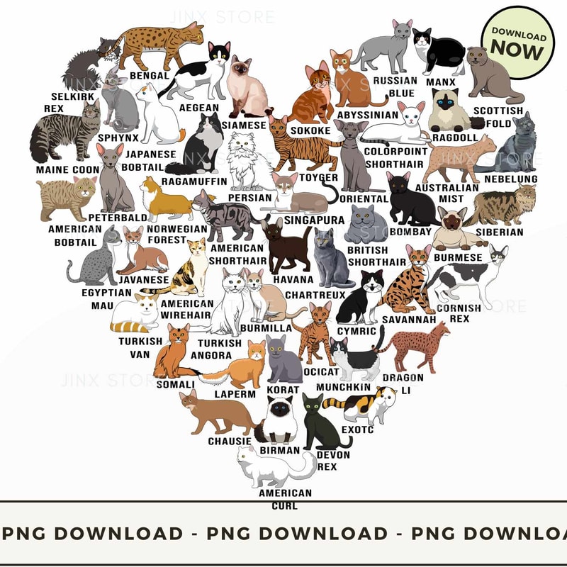 Love Cats in the shape of heart.jpg