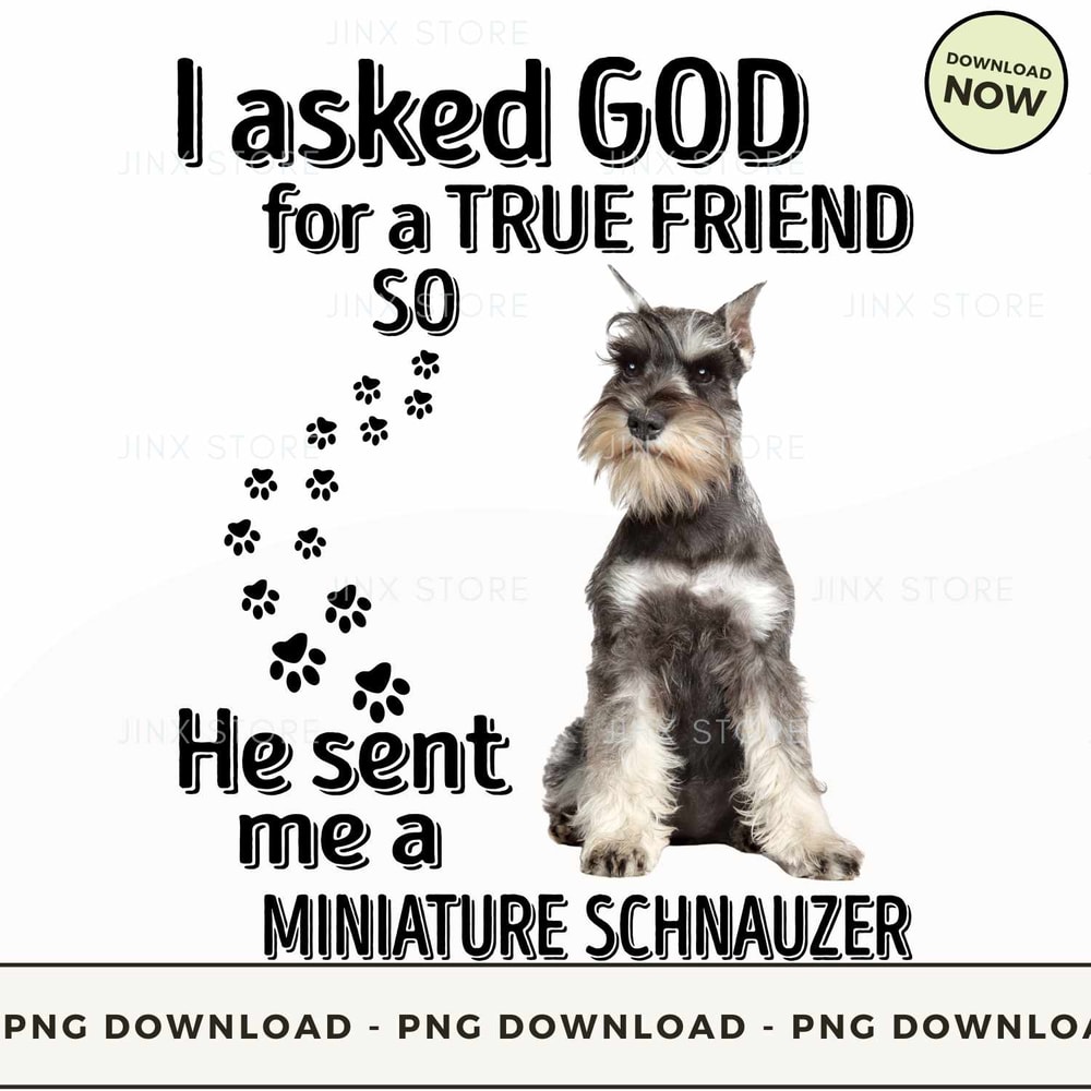 MINIATURE SCHNAUZER.jpg