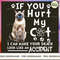 Tonkinese cat_2.jpg