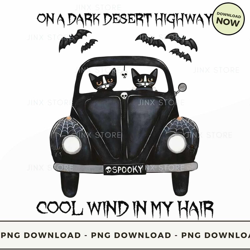 On A Dark Desert Highway - Cool Wind In My Hair Cat.jpg