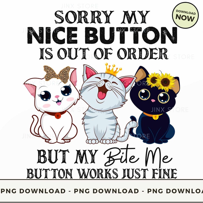 Sorry My Nice Button Is Out Of Order.jpg