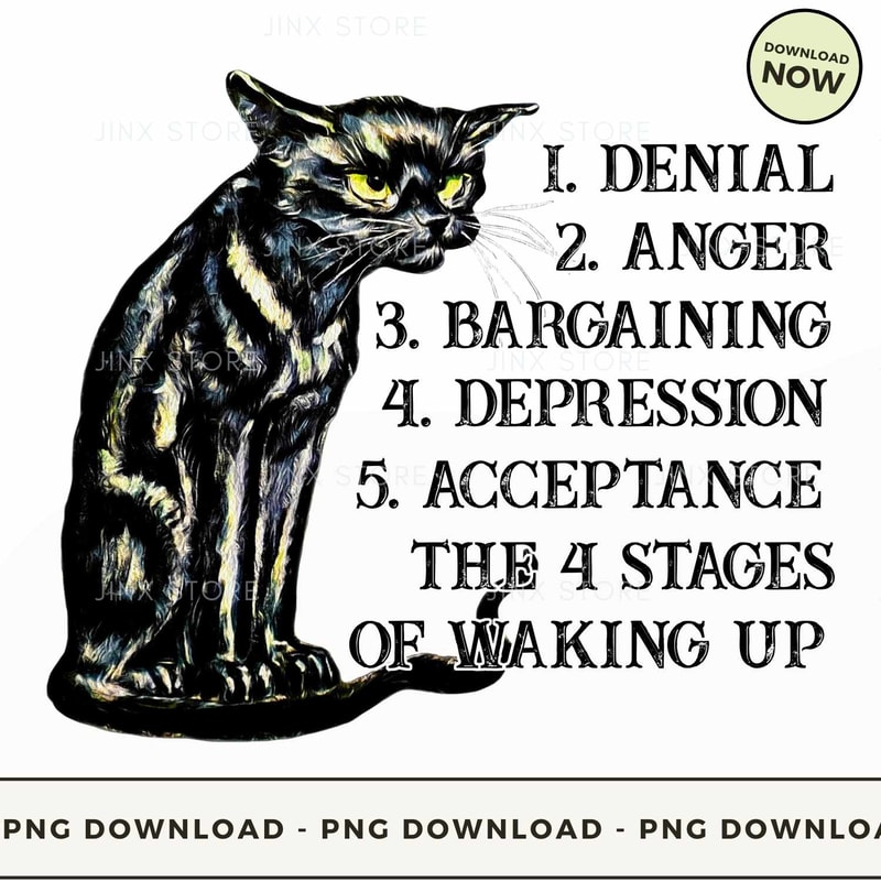 the 4 stages of waking up.jpg