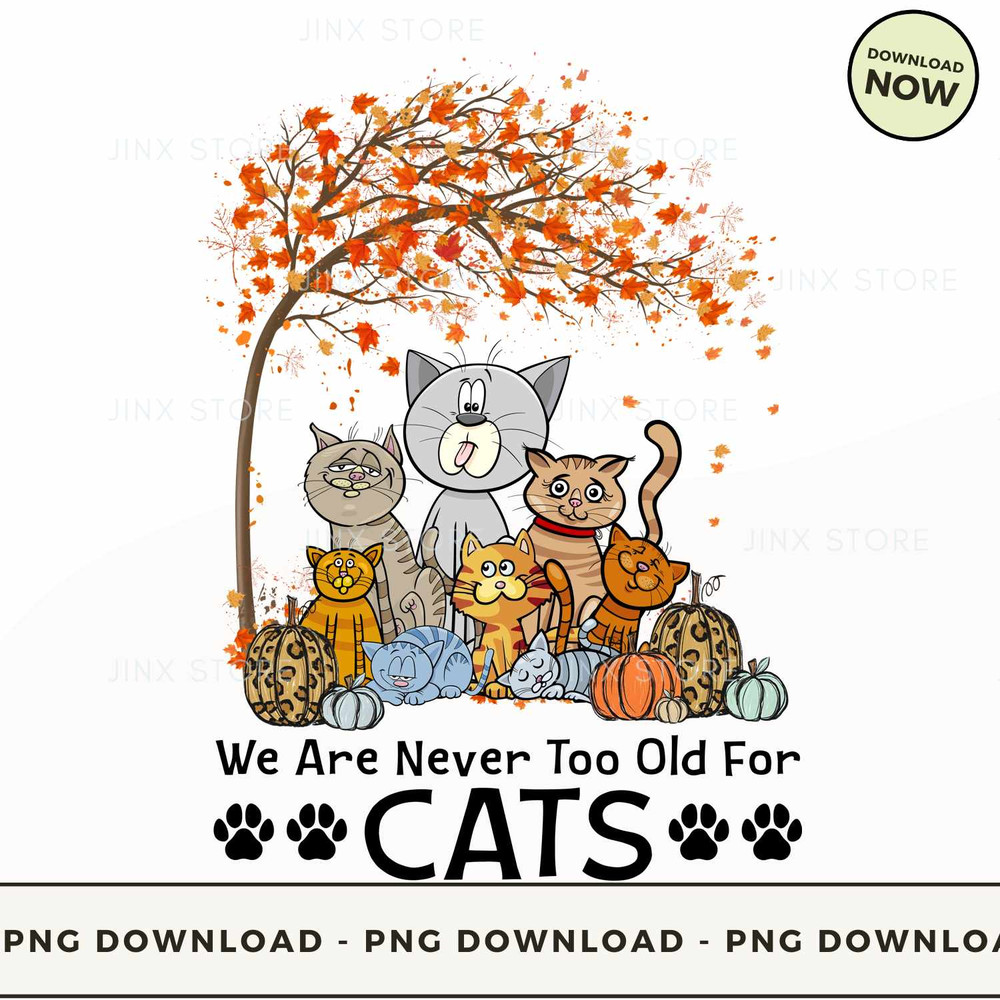 We Are Never Too Old For Cats.jpg