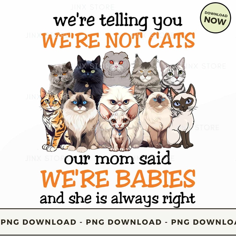 We're telling you we're not Cats.jpg