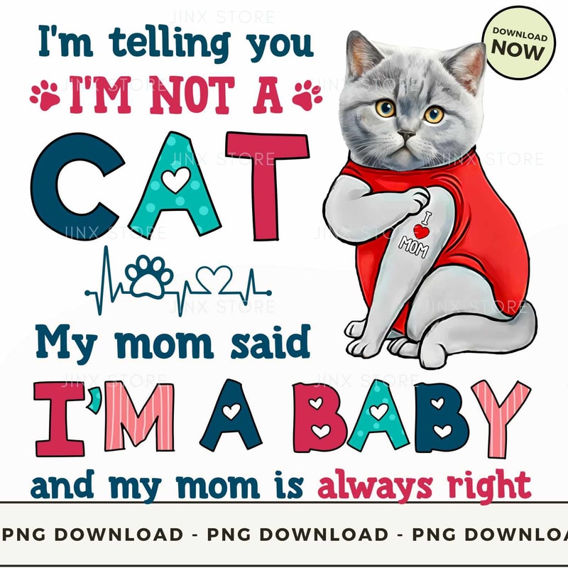 British shorthair_5.jpg