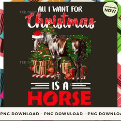 Digital | All I Want For Christmas Is A Horse Santa Hat - Christmas Horse T-shirt, Hoodie, Sweatshirt Design - High-Reso