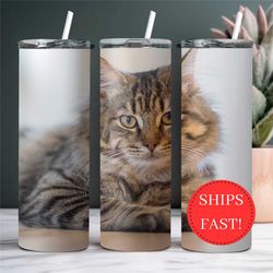 Personalized Cat Photo Tumbler Gift for Cat Lover on Christmas, Custom Tumbler with Pet Picture, Personalized Photo Mugs