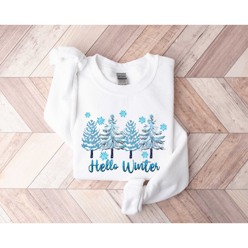Hello Winter Shirt, Winter Shirt, Cute Winter Tee, Womens Winter Shirt, Winter Sweatshirt, Christmas Shirt, Gift for Christmas, Hello Winter.jpg