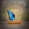 Personalized Memorial Butterfly Night Light For Gift.jpg
