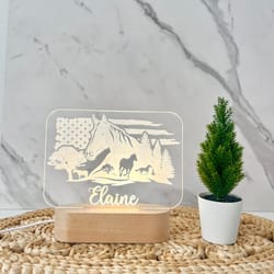 cowboy ride custom name light, personalized bedroom led cloud decor sign, american flag