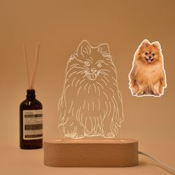custom 3d pet photo night light, cat dog 3d photo lamp, cat night light