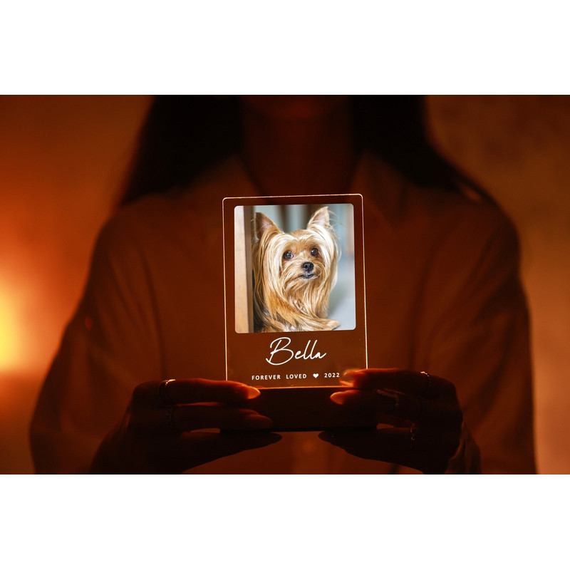 Custom Pet Print Night Light - Pet Memory Gift - Dog Memorial - Cat Memorial - Pet Loss Gifts - Personalized Gift for Pets - Pet Remembrance.jpg