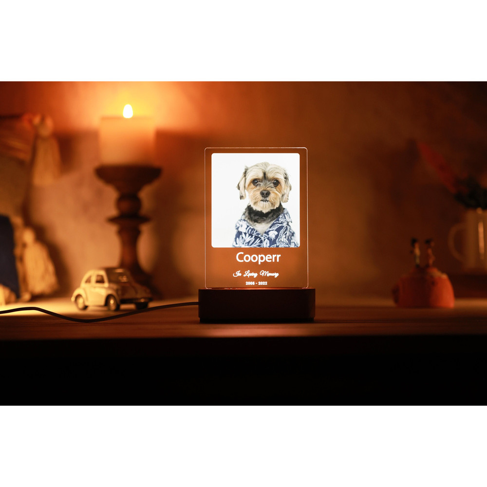 Light Up Pet Memorial Plaque - Cat Loss Gift - Dog Loss Gift - Pet Portrait - Pet Bereavement Gift - Pet Sympathy Gift - Loss of Pet.jpg