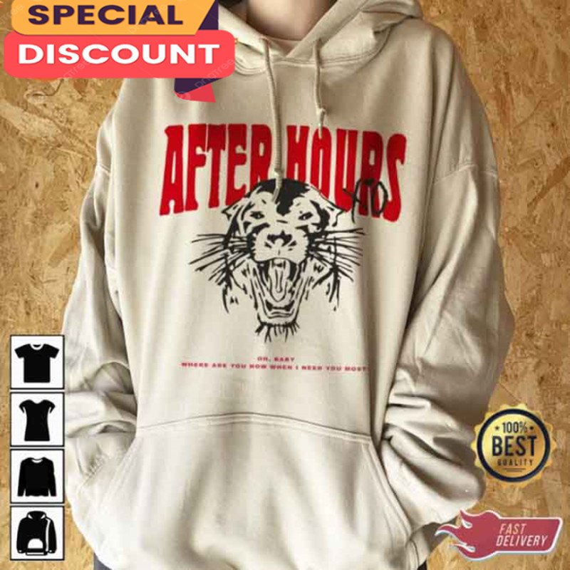 The After Hours Til Dawn Global Stadium Tour The weeknd Shirt.jpg