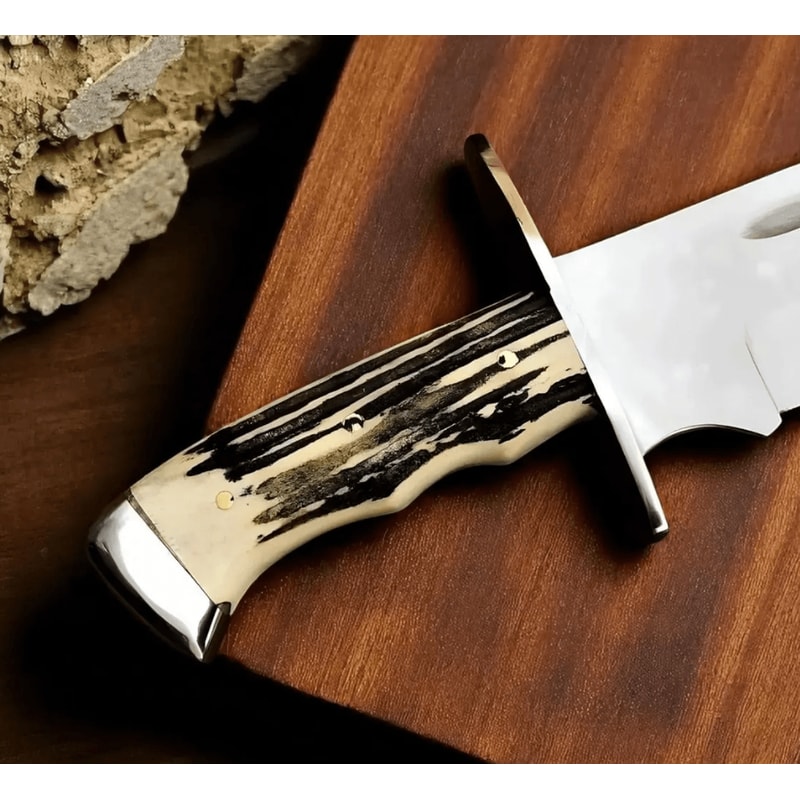 Buy Now Steel Jungle Hunting Bowie Knife