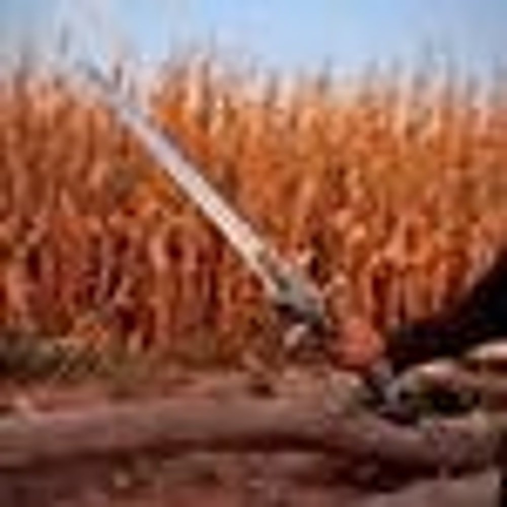 Anduin Wrynn Shalamayne Sword Replica 38 High Carbon Steel WoW Cosplay Display W Wall Plaque 8