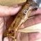 Camping Hunting Knife With Glossy Chestnut Wood Grip Leather Sheath 7